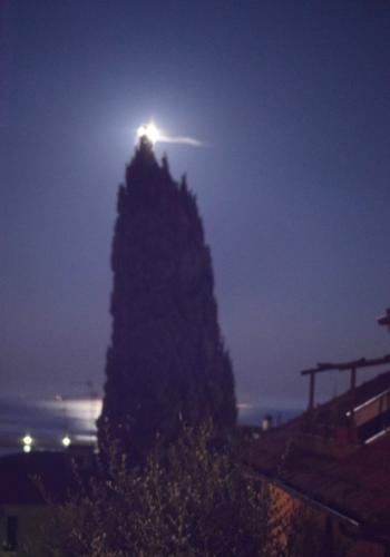 Ci-presso la luna cm 50x35